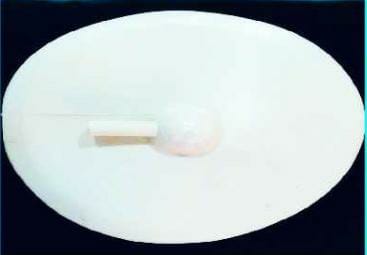 Jyoti HYDRO INJECTION FLANGE